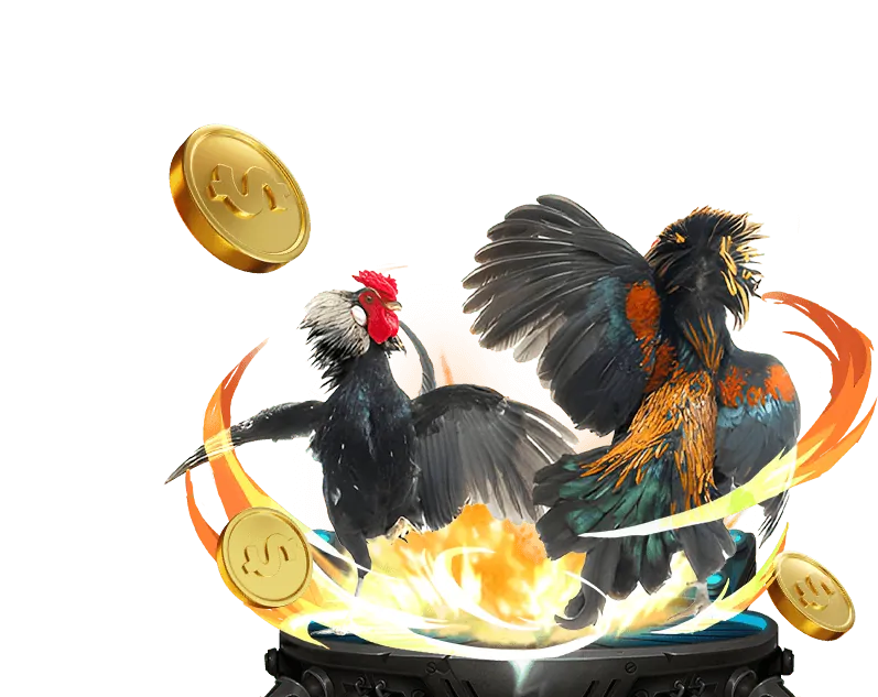Video Slot với đồ họa sống động
